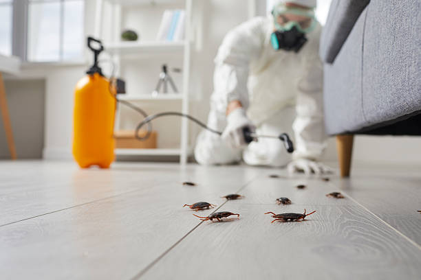 Trusted Cockroach Control service in Glen Allen, VA - Nex Pest Control