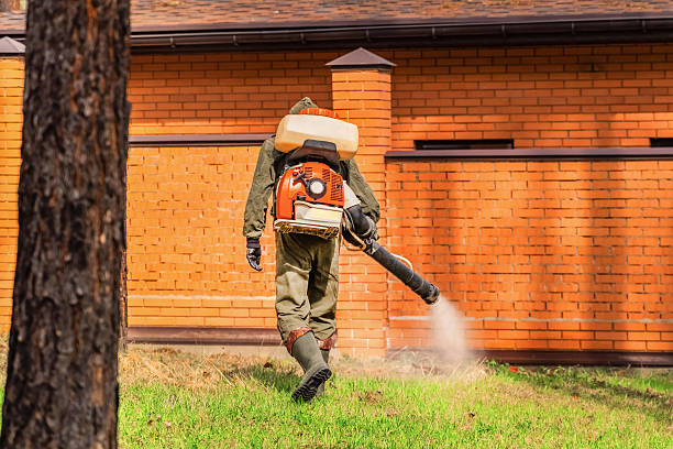 Trusted Termite Control service in Glen Allen, VA - Nex Pest Control